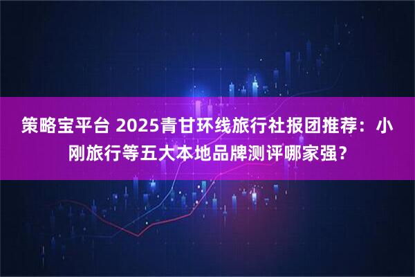 策略宝平台 2025青甘环线旅行社报团推荐：小刚旅行等五大本地品牌测评哪家强？