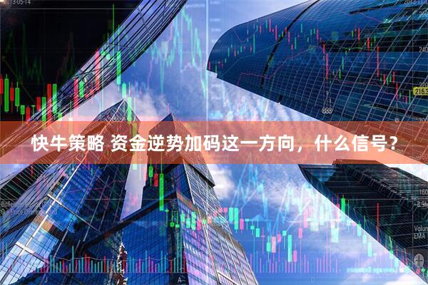 快牛策略 资金逆势加码这一方向，什么信号？