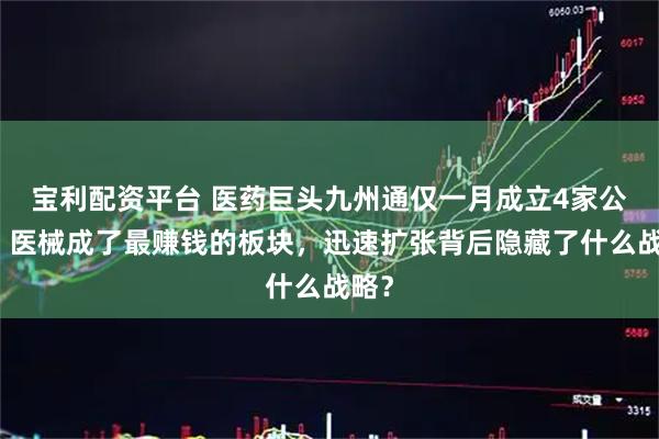 宝利配资平台 医药巨头九州通仅一月成立4家公司！医械成了最赚钱的板块，迅速扩张背后隐藏了什么战略？