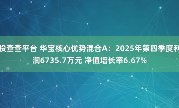 投查查平台 华宝核心优势混合A：2025年第四季度利润6735.7万元 净值增长率6.67%