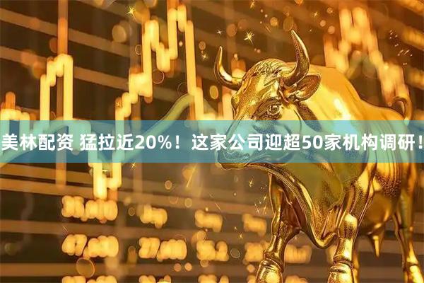 美林配资 猛拉近20%！这家公司迎超50家机构调研！